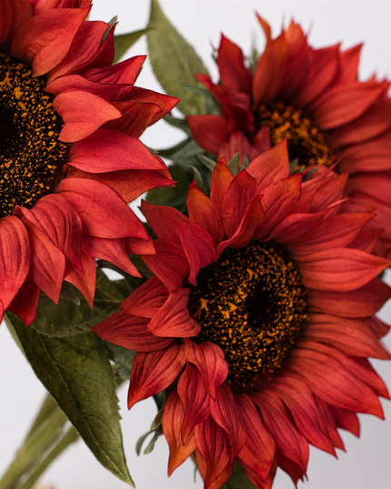 27.5" Moisturized Real Touch Sunflower Stem (Real-Touch)