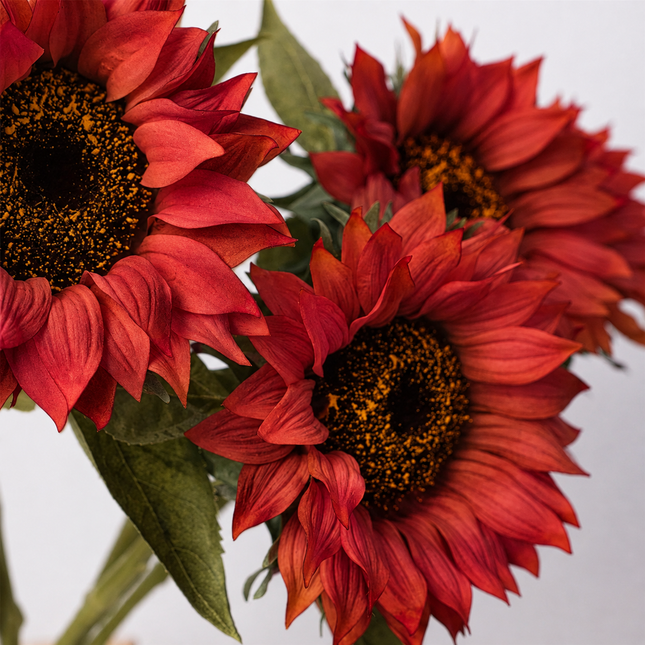 27.5" Moisturized Real Touch Sunflower Stem (Real-Touch)