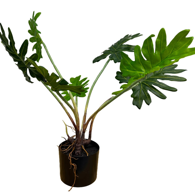 Split Leaf Philodendron Plant - 28"High (Real-Touch)