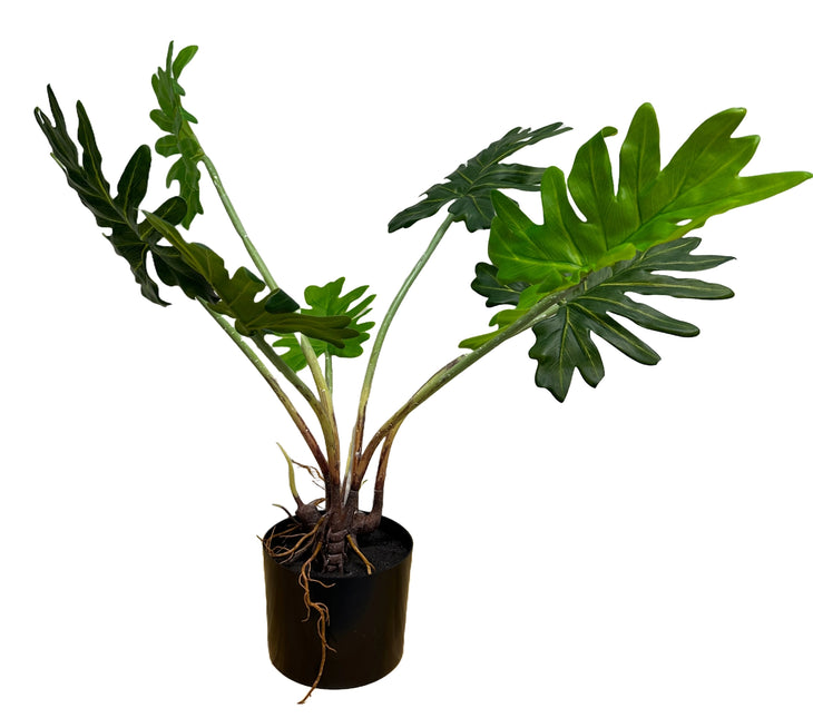 Split Leaf Philodendron Plant - 28"High (Real-Touch)