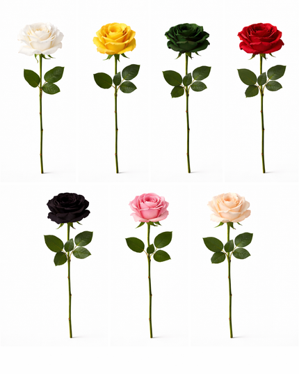 Single Infused Rose Bouquet - Forever, Wild™