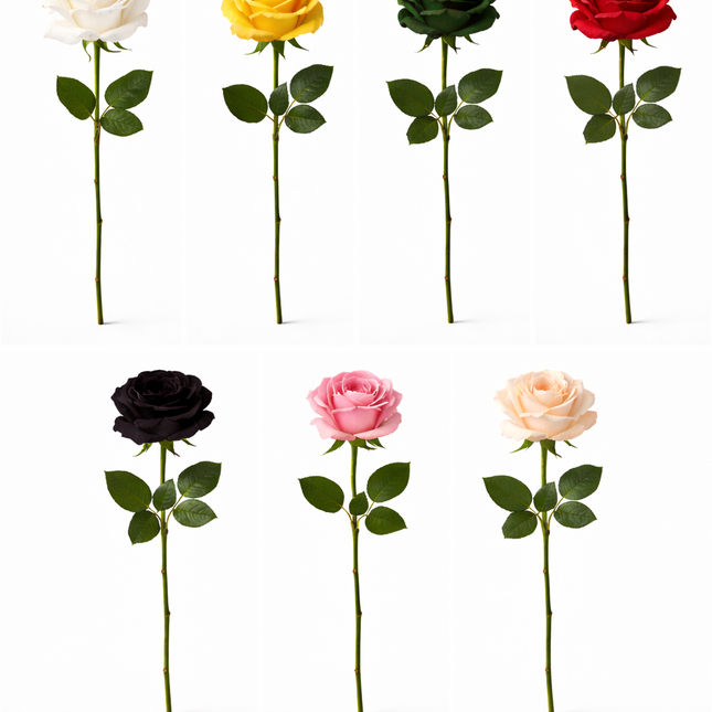 Single Infused Rose Bouquet - Forever, Wild™