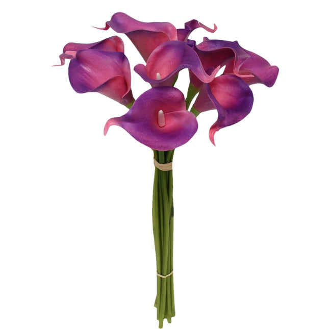 Fuchsia Purple Calla Lily