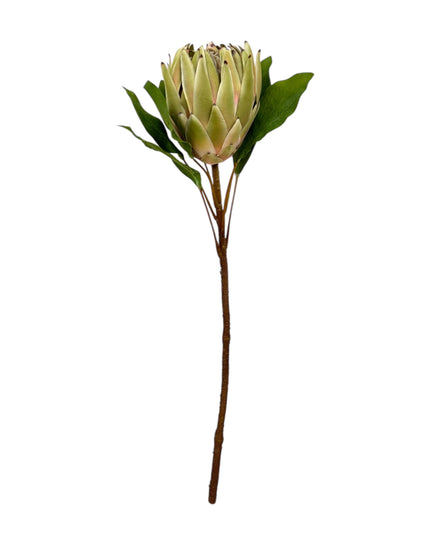 24"Large Extra Bloom Artificial King Protea