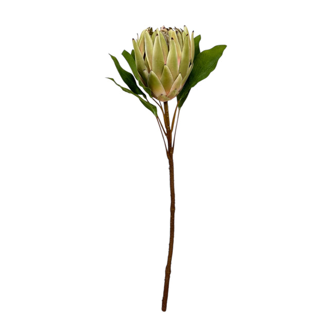 24"Large Extra Bloom Artificial King Protea