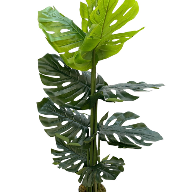 Potted Artificial Monstera Plant (Two Sizes)