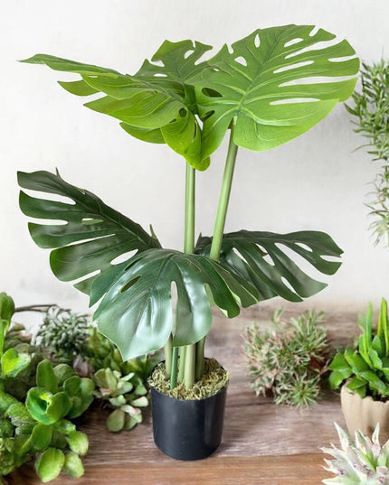 Potted Artificial Monstera Plant (Two Sizes)