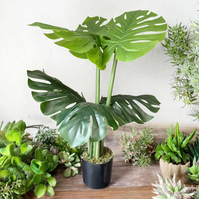 Potted Artificial Monstera Plant (Two Sizes)