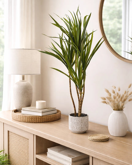 Artificial Dracaena Tree in Ceramic Decorative Pot (Plant)