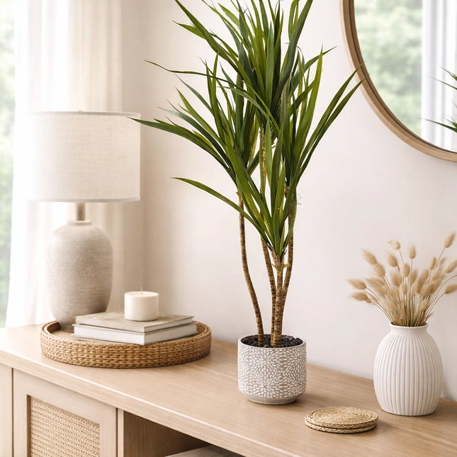Artificial Dracaena Tree in Ceramic Decorative Pot (Plant)