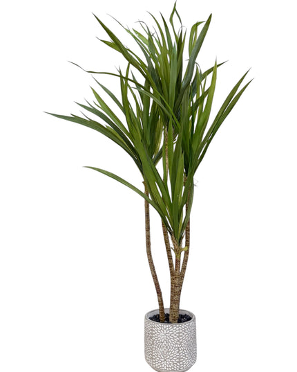 Artificial Dracaena Tree in Ceramic Decorative Pot (Plant)
